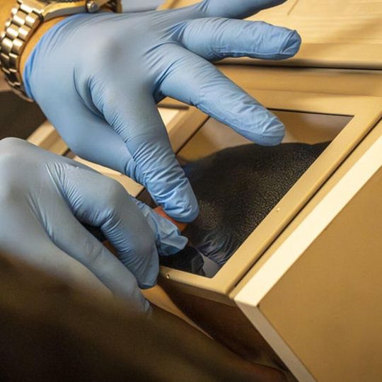 zatrzymani w śledztwie w sprawie legalizacji pobytu cudzoziemców