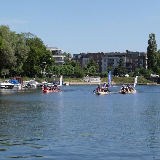 Dragon Boat Business League 2026, Gdańsk