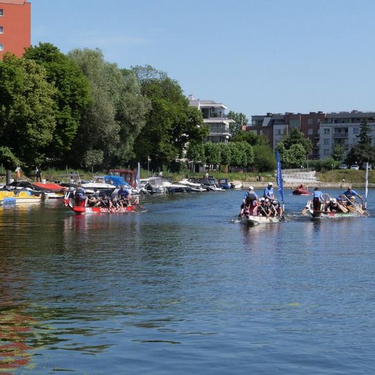 Dragon Boat Business League 2026, Gdańsk