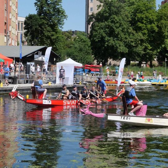Dragon Boat Business League 2026, Gdańsk