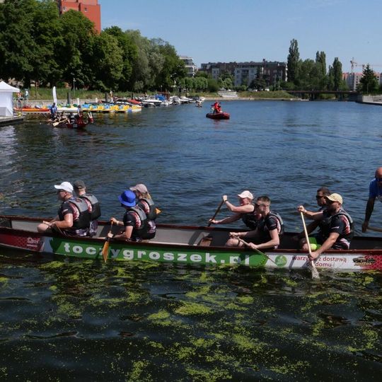 Dragon Boat Business League 2026, Gdańsk