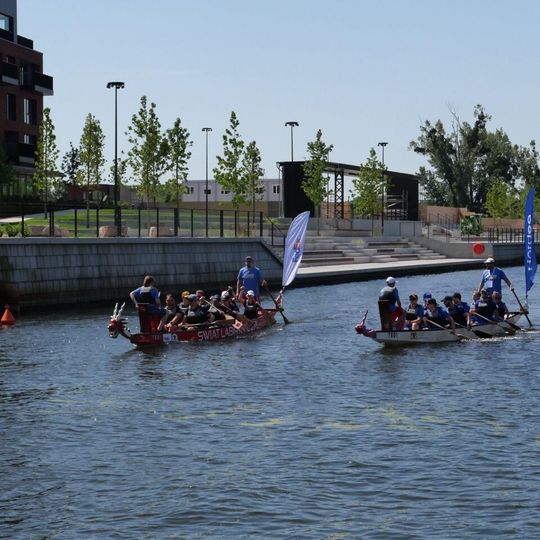 Dragon Boat Business League 2026, Gdańsk