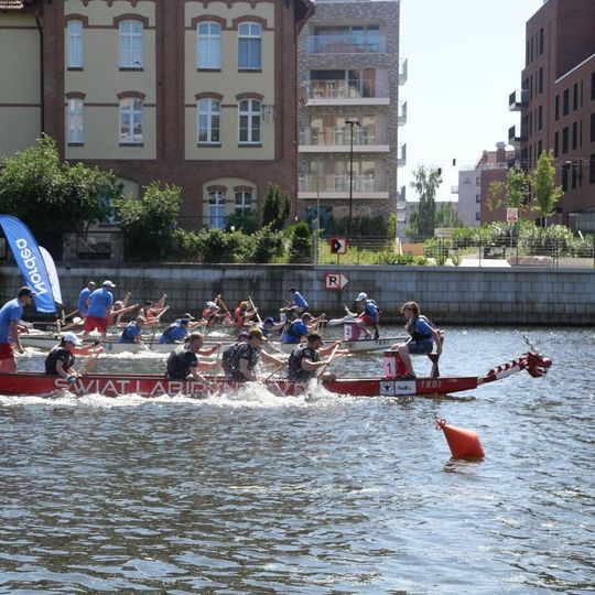 Dragon Boat Business League 2026, Gdańsk