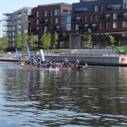 Dragon Boat Business League 2026, Gdańsk