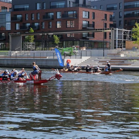 Dragon Boat Business League 2026, Gdańsk