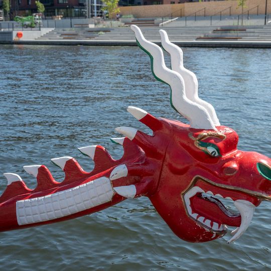 Dragon Boat Business League 2026, Gdańsk