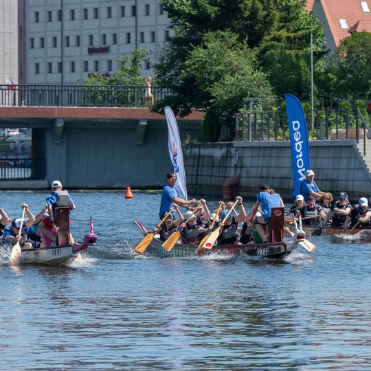 Dragon Boat Business League 2026, Gdańsk