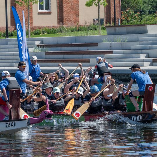Dragon Boat Business League 2026, Gdańsk