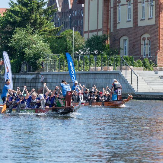 Dragon Boat Business League 2026, Gdańsk