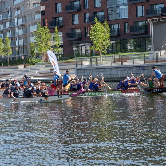 Dragon Boat Business League 2026, Gdańsk