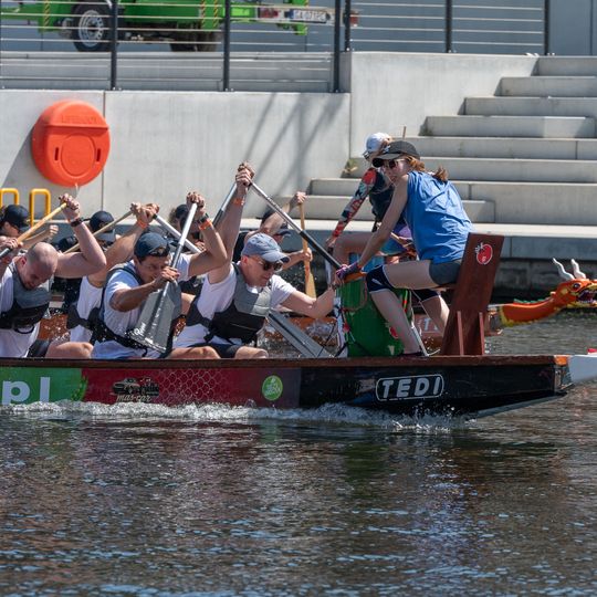 Dragon Boat Business League 2026, Gdańsk