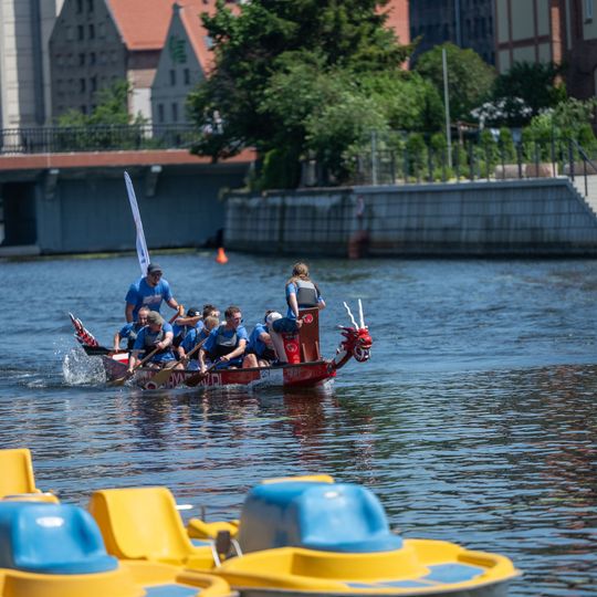 Dragon Boat Business League 2026, Gdańsk