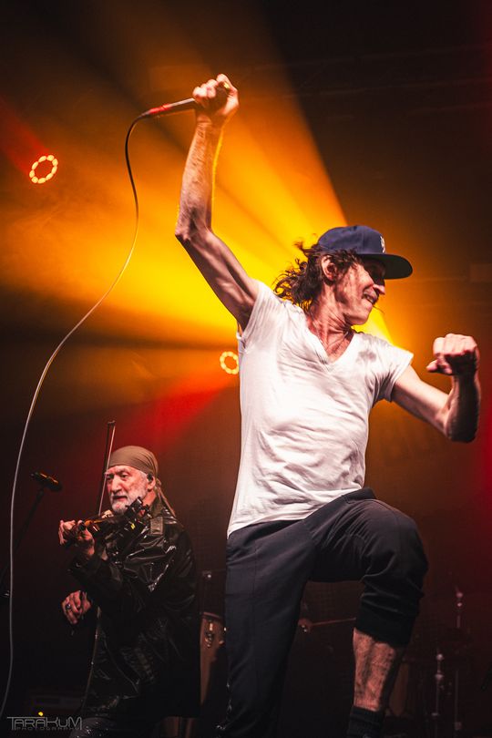 Gogol Bordello w B90