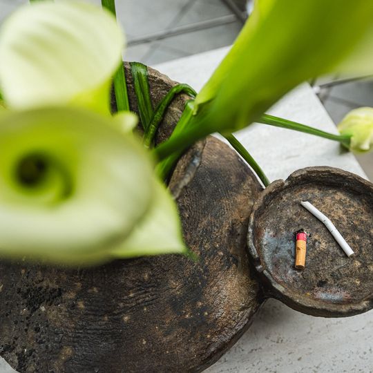 wystawa „Bindekunst”, Willa Tannenheim, Gdańsk 2026