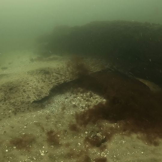 wrak, Ił-2