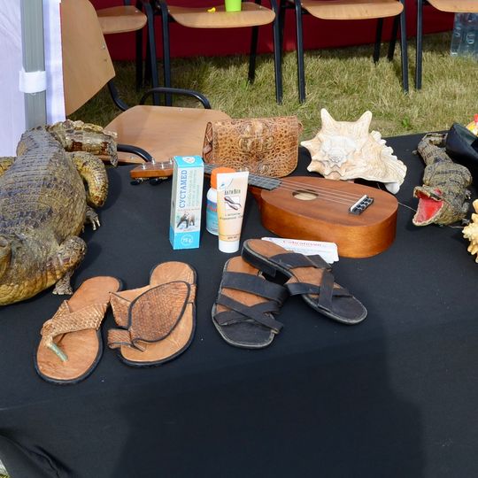 Piknik lotniczy w Gdańsku