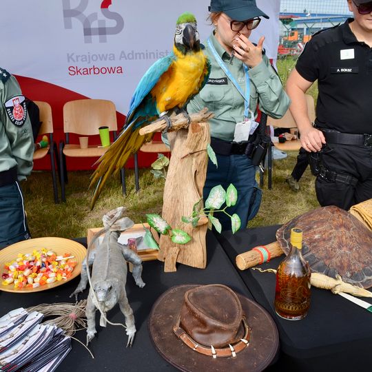 Piknik lotniczy w Gdańsku