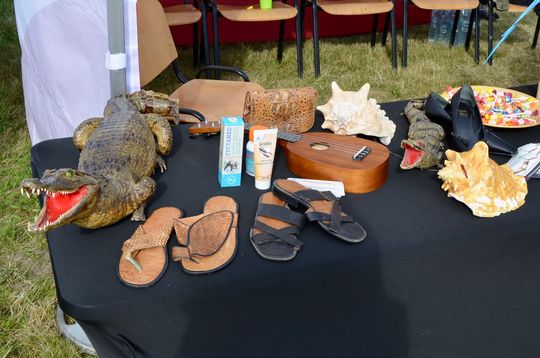 Piknik na gdańskim lotnisku