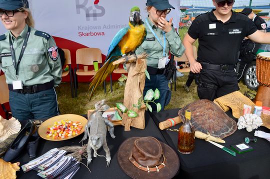 Piknik na gdańskim lotnisku