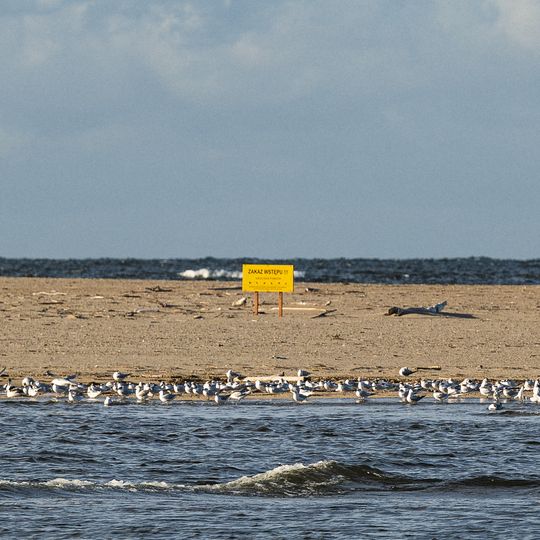 Zdjęcia rezerwatu Mewia Łacha