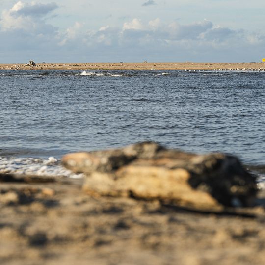 Zdjęcia rezerwatu Mewia Łacha