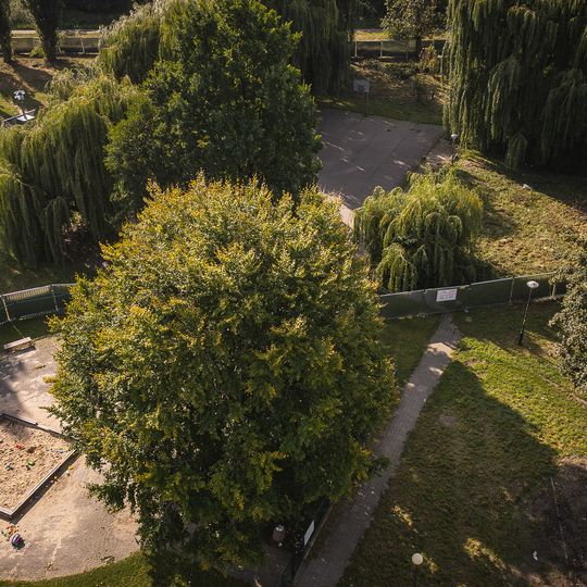 Boisko pod Wierzbami, ogrodzenie, Gdańsk 2026