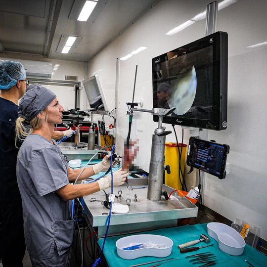 Good Life Clinic, Gdańsk 2026
