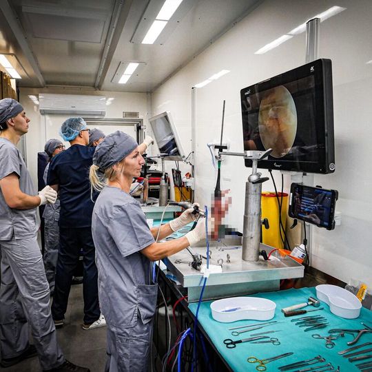 Good Life Clinic, Gdańsk 2026