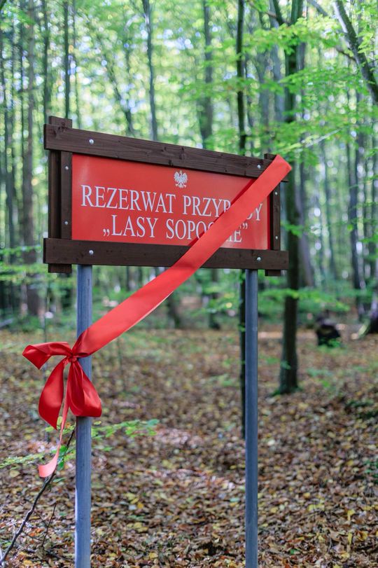 Utworzenie rezerwatu "Lasy Sopockie"