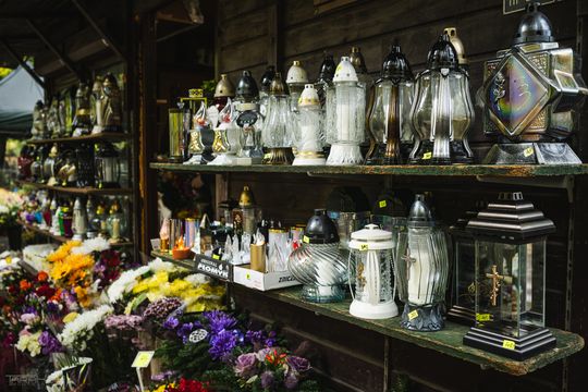 Wrzosy królują, chryzantemy nie wychodzą z mody. Sprawdź ile kosztują na cmentarzach w Gdańsku!