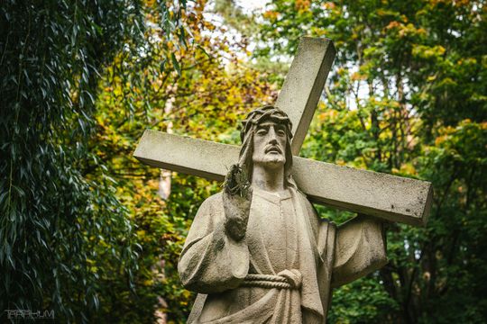 Znani, zasłużeni i niezapomniani. Odwiedzamy ich groby na gdańskich cmentarzach