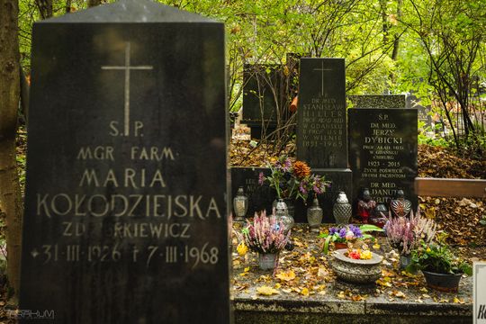 Znani, zasłużeni i niezapomniani. Odwiedzamy ich groby na gdańskich cmentarzach