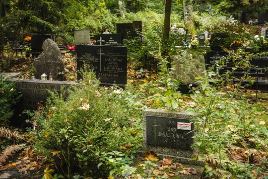 Znani, zasłużeni i niezapomniani. Odwiedzamy ich groby na gdańskich cmentarzach