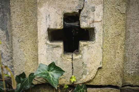 Znani, zasłużeni i niezapomniani. Odwiedzamy ich groby na gdańskich cmentarzach