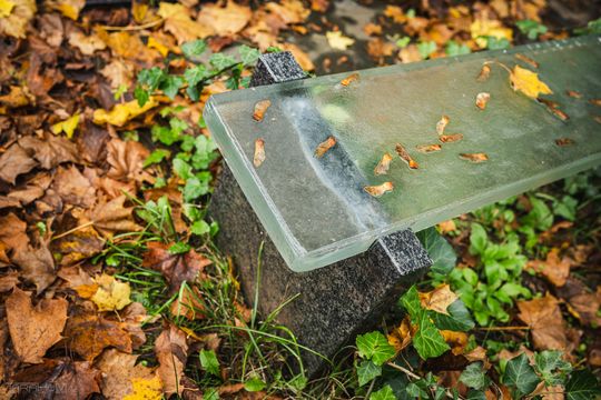 Znani, zasłużeni i niezapomniani. Odwiedzamy ich groby na gdańskich cmentarzach