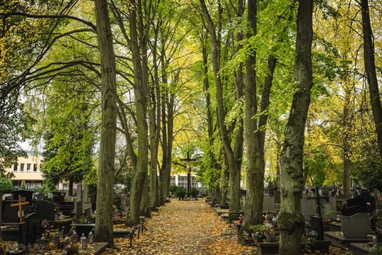 Znani, zasłużeni i niezapomniani. Odwiedzamy ich groby na gdańskich cmentarzach