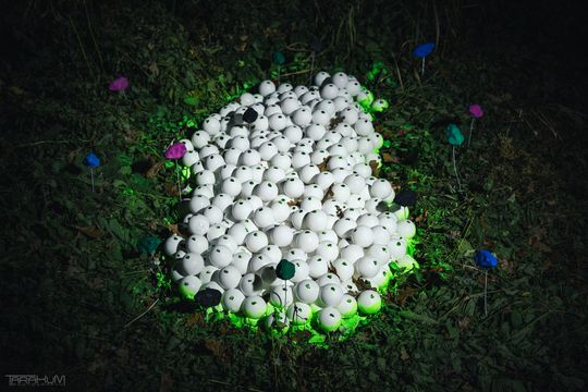 Gdańsk, Narracje #17 Festiwal Sztuki Współczesnej