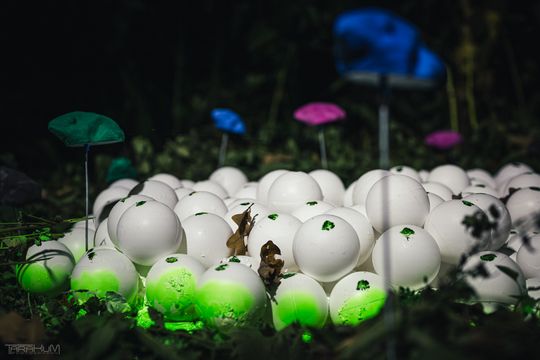 Gdańsk, Narracje #17 Festiwal Sztuki Współczesnej