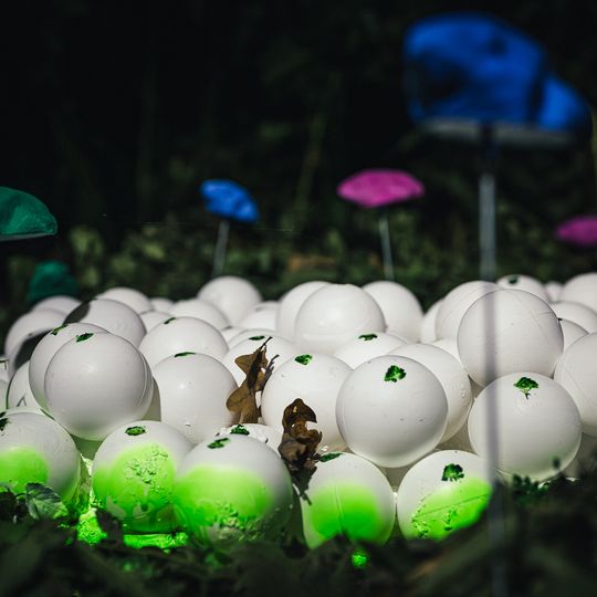 To siedemnasta edycja gdańskiego festiwalu sztuki współczesnej, która tym razem zdobiła dzielnicę Żabianka-Wejhera-Jelitkowo-Tysiąclecia.
