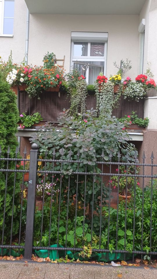 Zwycięski balkon przy ul. Kazimierza Wielkiego