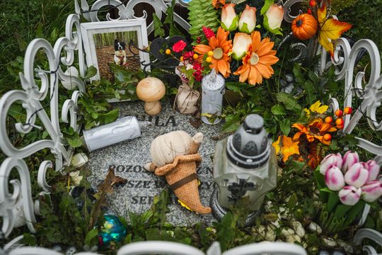 Pamiętajmy także o naszych czworonożnych przyjaciołach. Odwiedzamy cmentarz dla zwierząt w Gdańsku