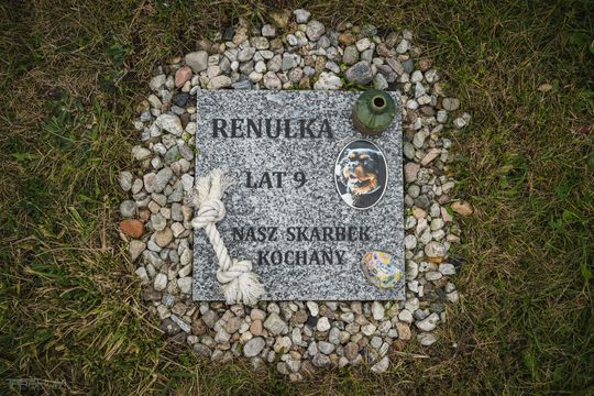 Pamiętajmy także o naszych czworonożnych przyjaciołach. Odwiedzamy cmentarz dla zwierząt w Gdańsku
