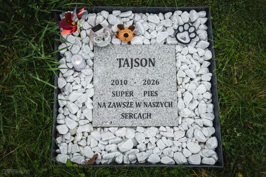 Pamiętajmy także o naszych czworonożnych przyjaciołach. Odwiedzamy cmentarz dla zwierząt w Gdańsku
