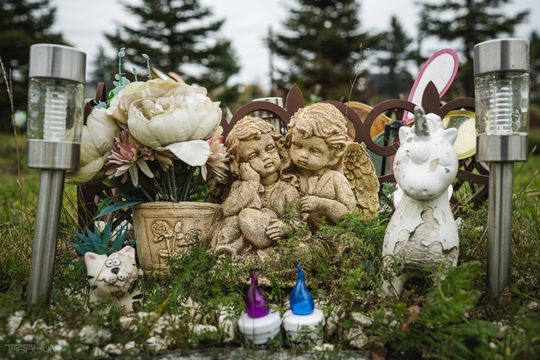 Pamiętajmy także o naszych czworonożnych przyjaciołach. Odwiedzamy cmentarz dla zwierząt w Gdańsku