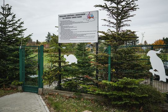 Pamiętajmy także o naszych czworonożnych przyjaciołach. Odwiedzamy cmentarz dla zwierząt w Gdańsku