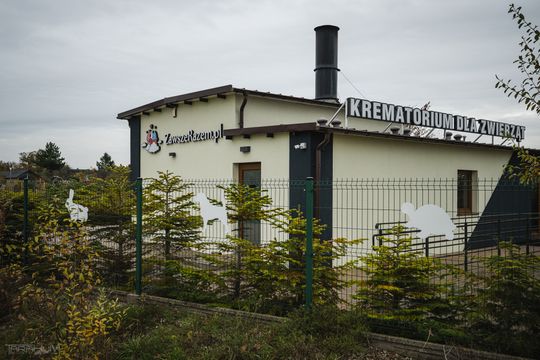 Pamiętajmy także o naszych czworonożnych przyjaciołach. Odwiedzamy cmentarz dla zwierząt w Gdańsku