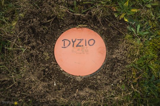 Pamiętajmy także o naszych czworonożnych przyjaciołach. Odwiedzamy cmentarz dla zwierząt w Gdańsku