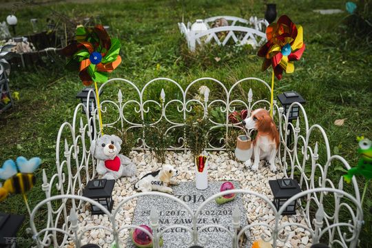 Pamiętajmy także o naszych czworonożnych przyjaciołach. Odwiedzamy cmentarz dla zwierząt w Gdańsku
