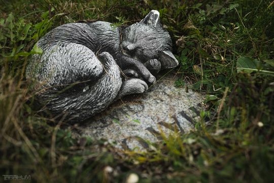 Pamiętajmy także o naszych czworonożnych przyjaciołach. Odwiedzamy cmentarz dla zwierząt w Gdańsku