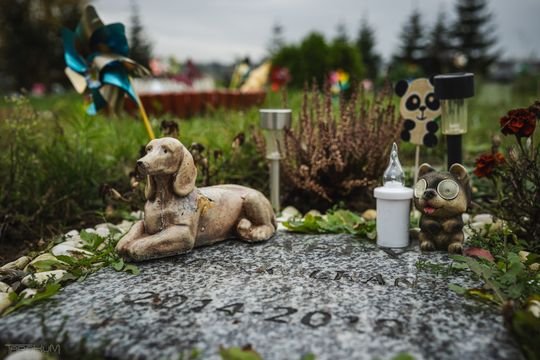 Pamiętajmy także o naszych czworonożnych przyjaciołach. Odwiedzamy cmentarz dla zwierząt w Gdańsku